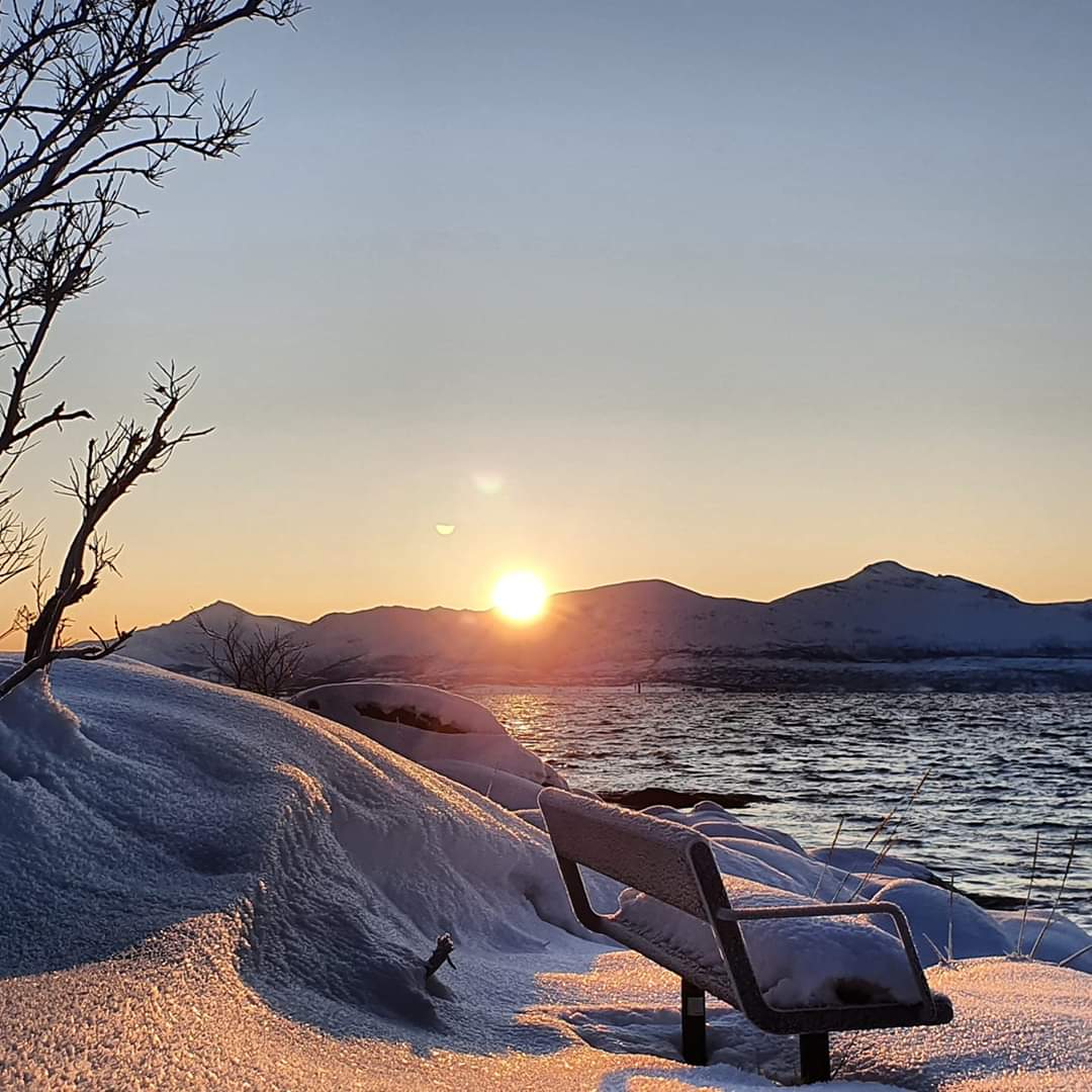 MyFaveBench's tweet photo. Who likes snowy days? And would sit on the #Bench?
#BenchLove #pewswithviews https://t.co/GiWeZQQG62