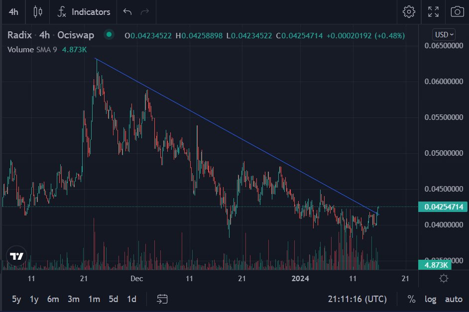 RadixRadient tweet media