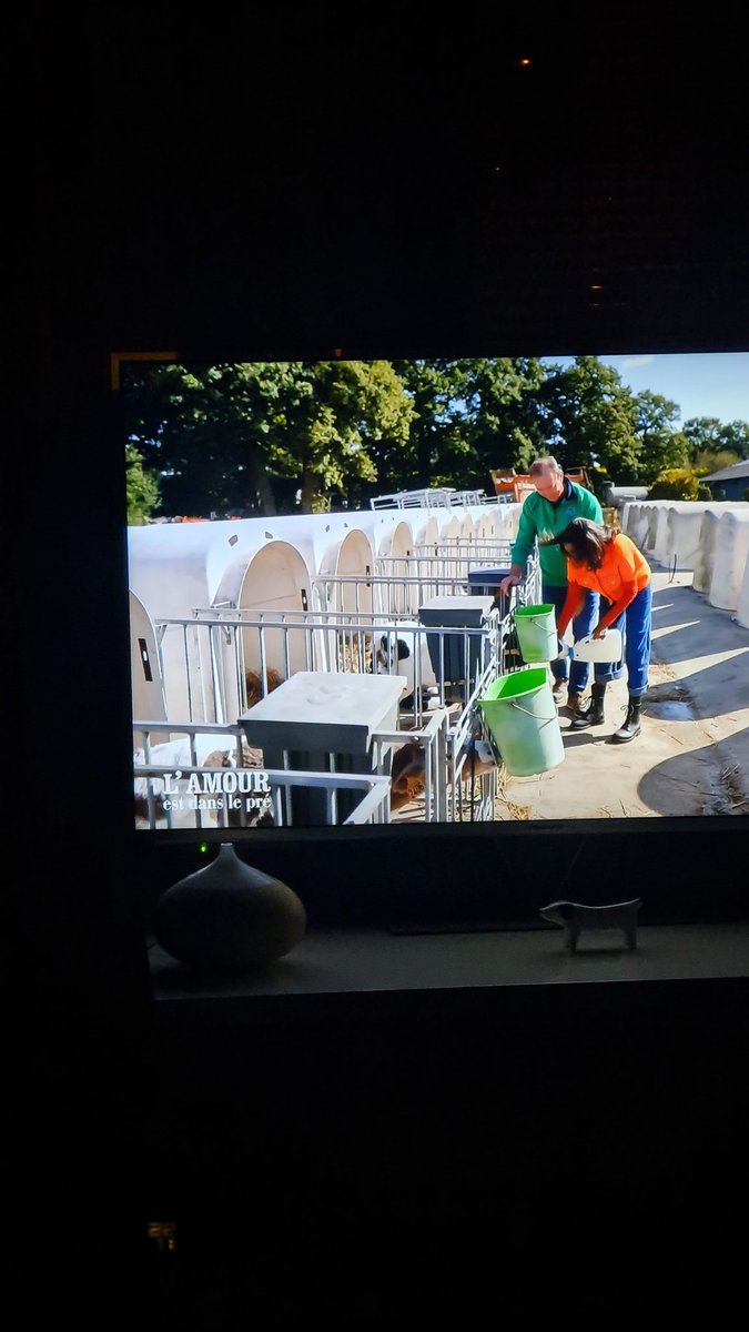 JRJ73sand's tweet photo. Ma hantise ces maison a veaux 🤬
Pas de mère, pas de place, ça devrait être interdit...  #adp2024 https://t.co/6fhlunlXbl