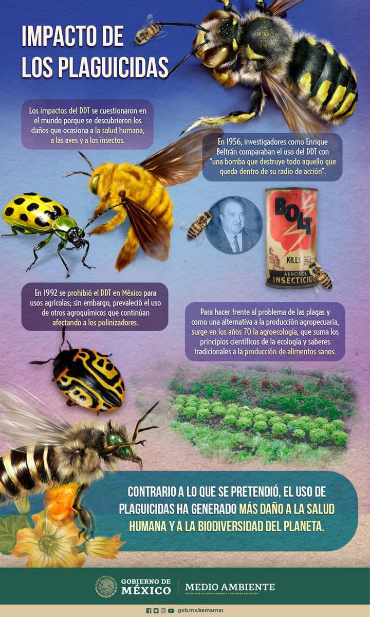 SEMARNAT México tweet media