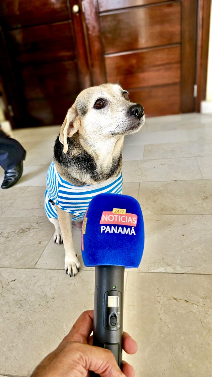 Tinaquera tweet media