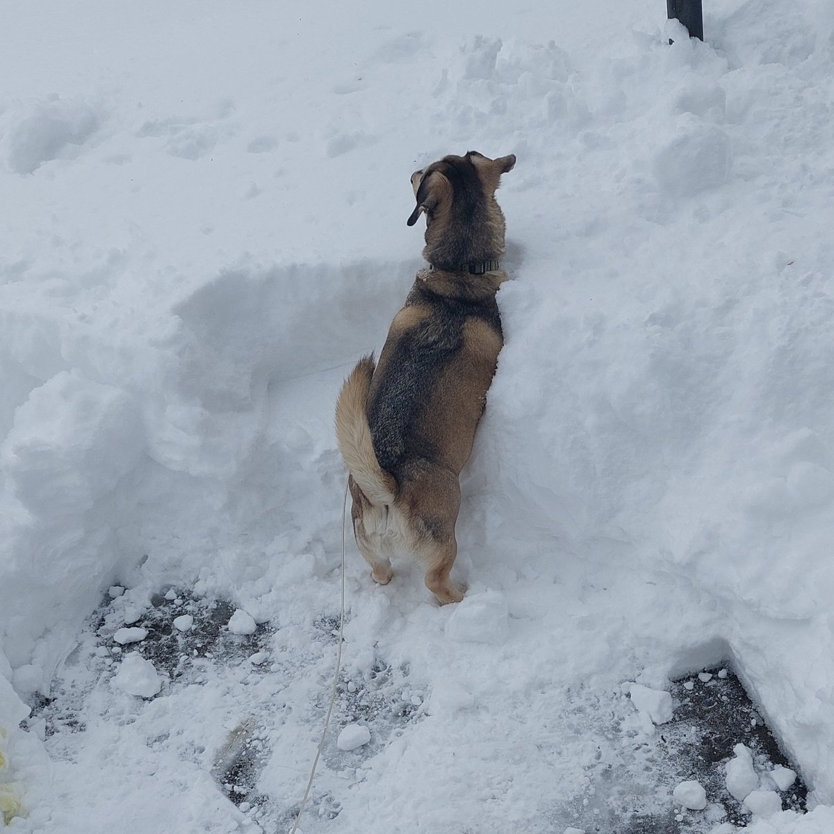 Let's Go Buffalo!
#BillsMafia  

Bones for TD's 🏈🦴🏈🦴🏈🦴