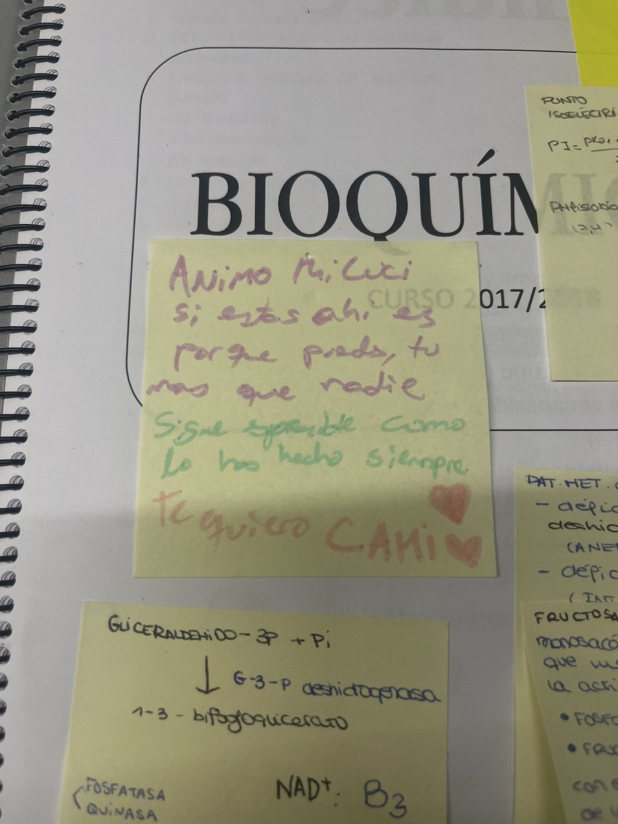 luchicaba_'s tweet photo. cami siempre me hace notas cuando me ve muy agobiada, y hoy literalmente se me han inundado los ojos https://t.co/CVF50Z7MJt