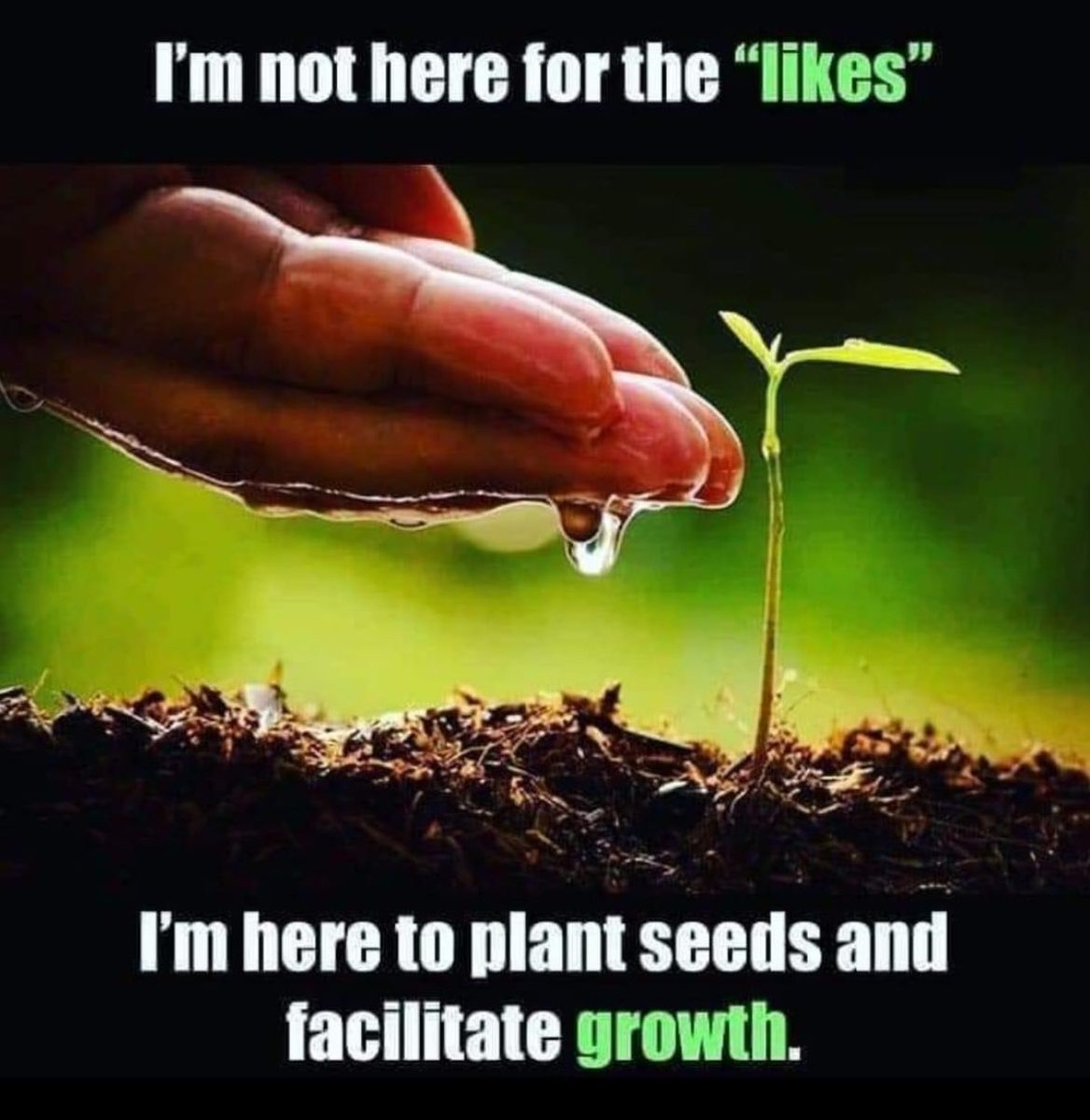 PRAYINGALWAYS1's tweet photo. Matthew 13:23 But the seed falling on good soil refers to someone who hears the word and understands it. This is the one who produces a crop, yielding a hundred, sixty or thirty times what was sown.” #DetroitLions #IowaCaucuses #JesusChrist https://t.co/5rx3nRjrCg