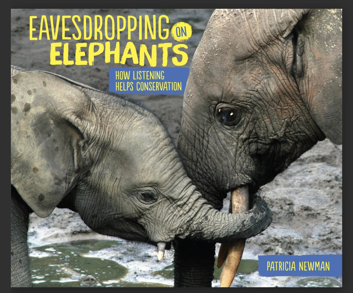 If you have a reader who always wants to know how and why things work (or maybe you are one yourself 🙋🏼‍♀️), I highly recommend EAVESDROPPING ON ELEPHANTS by @patricianewmanbooks . It’s a fascinating #nonfiction story about how scientists figured out the way #elephants communicate.
