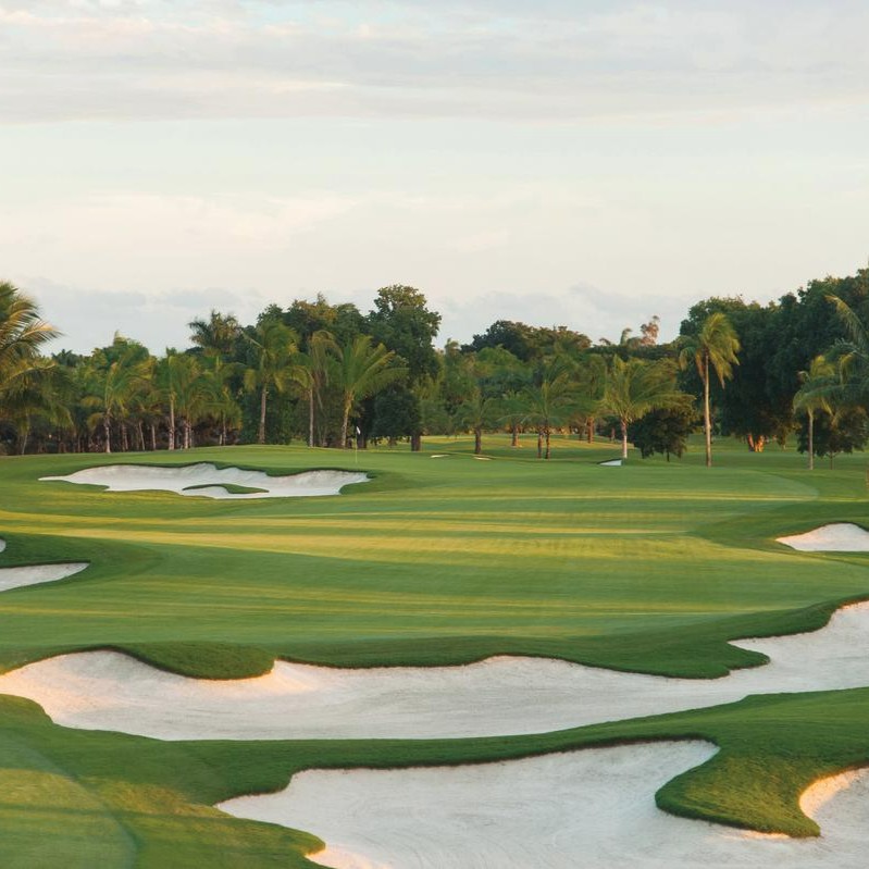 golfnow's tweet photo. Experience the legendary Blue Monster at Trump National Doral! Tougher, more dramatic, and rich in history. A challenge embraced by golf legends. ⛳🌟
@TrumpDoral 
📍 Miami, FL
Check out tee times here ▶️ https://t.co/54nCIexxJt

#FLgolf #gygo #golfnow https://t.co/i9Hhidwu88