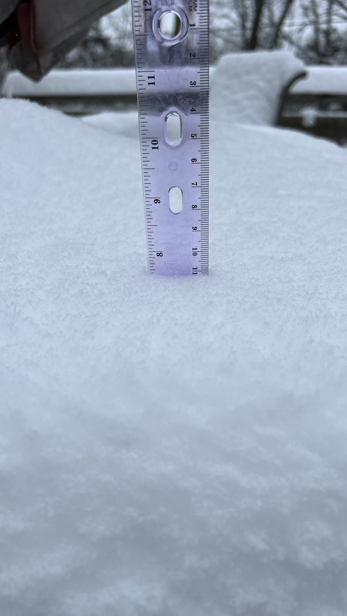 Katelyn Jernigan, Librarian tweet media