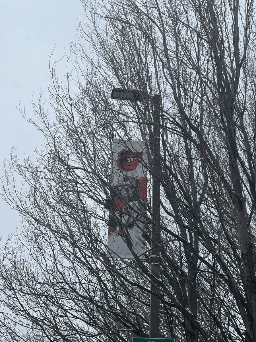 PaulMancano's tweet photo. Never forget there’s one Kevin Gausman Orioles banner from 2018 still hanging outside M&amp;T Bank Stadium, because apparently someone has https://t.co/rdgg1I4HMW