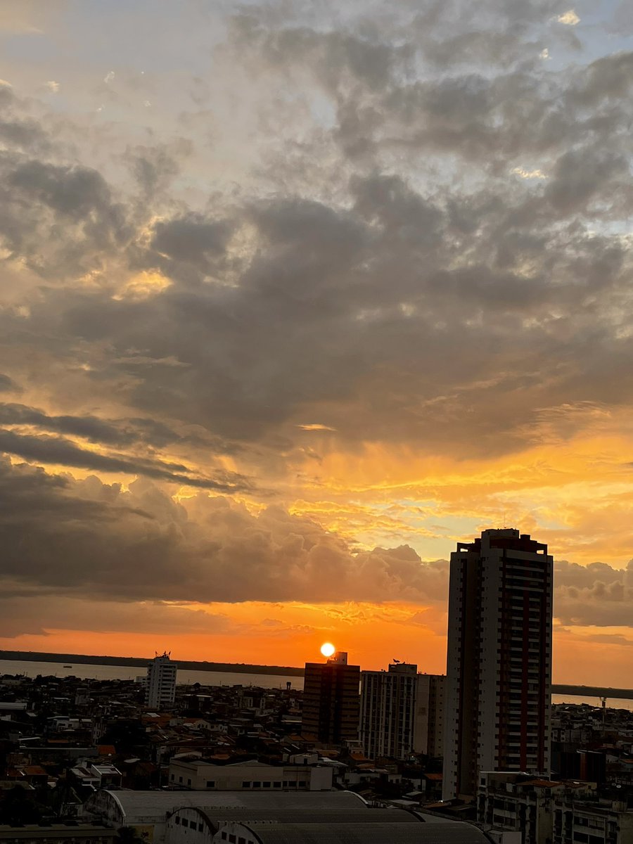 MariaPinh4's tweet image. Gratidão 🙏