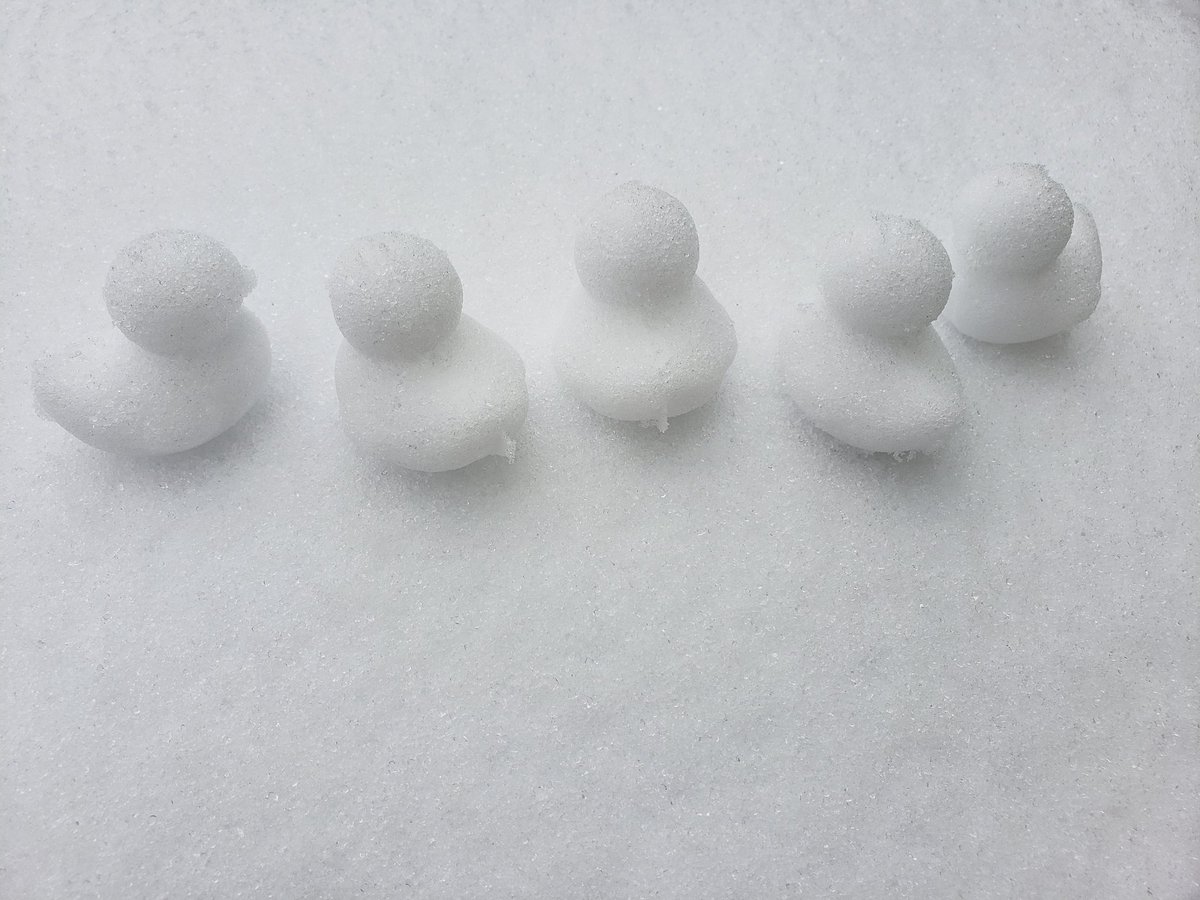 eilonewy's tweet photo. I FINALLY GOT TO USE MY LITTLE SNOW DUCK MAKER!!😆😆💖🐤🐤🐤 https://t.co/oJ4Owlc9Vr