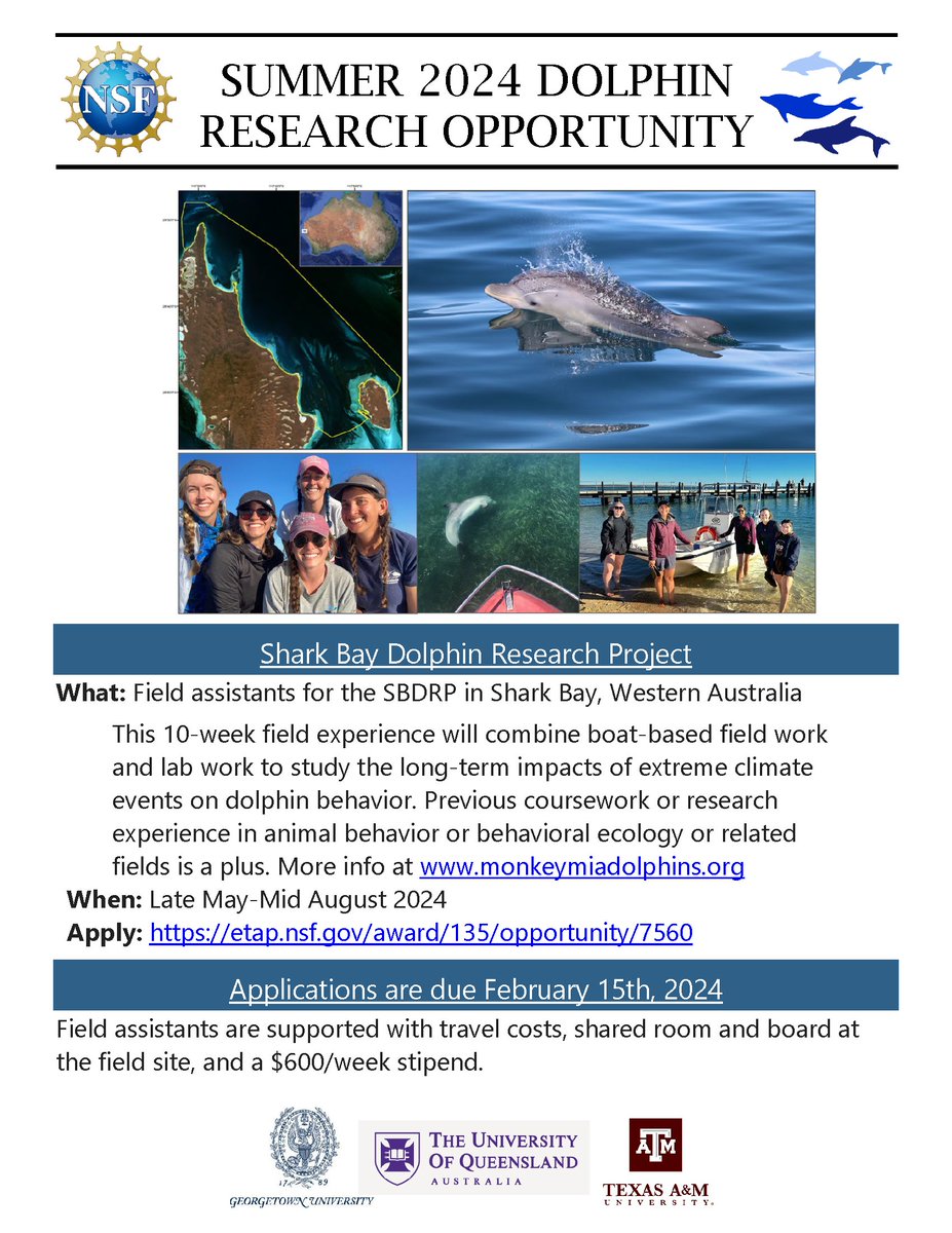 It's that time of year again! If you're an undergrad interested in joining our dolphin research team this summer our NSF #REU opportunity is posted- applications due Feb 15th! See our website for more details monkeymiadolphins.org/join-us/ 

Apply: etap.nsf.gov/award/135/oppo…