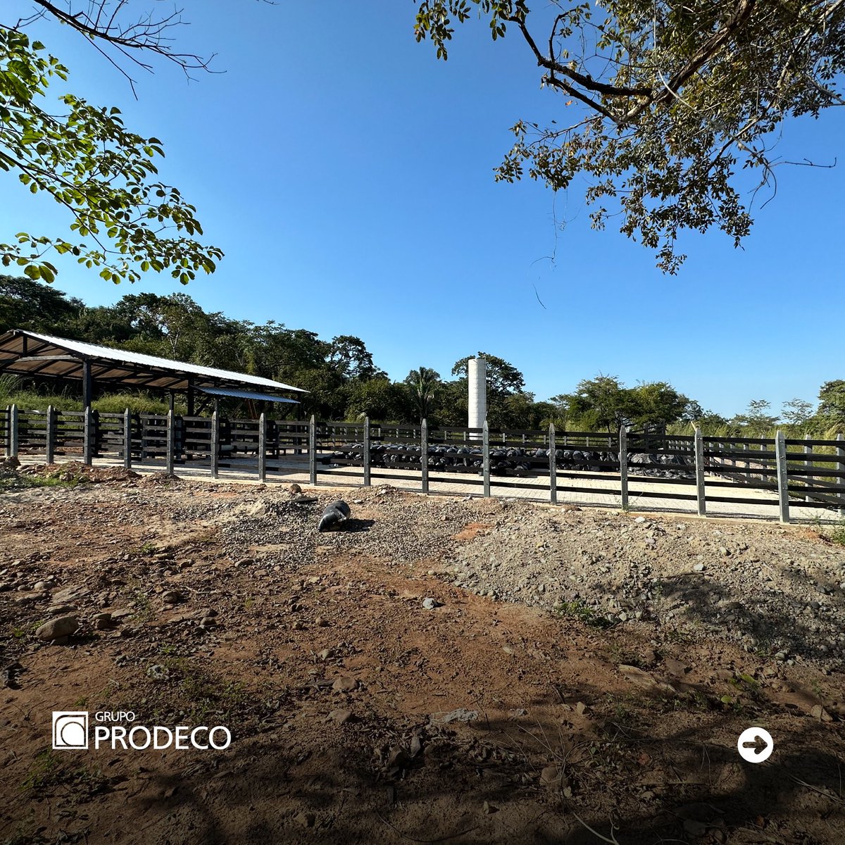 GrupoProdeco's tweet photo. 🐄El proyecto agropecuario de La Jagua de Ibirico se prepara para recibir a las primeras novillas. La finca ya cuenta con la instalación de los corrales en donde estará ubicado el ganado.
✅Iniciamos el año con el avance de nuestros proyectos de alto impacto.
#Cesar #Prodeco https://t.co/pgscTiT7io