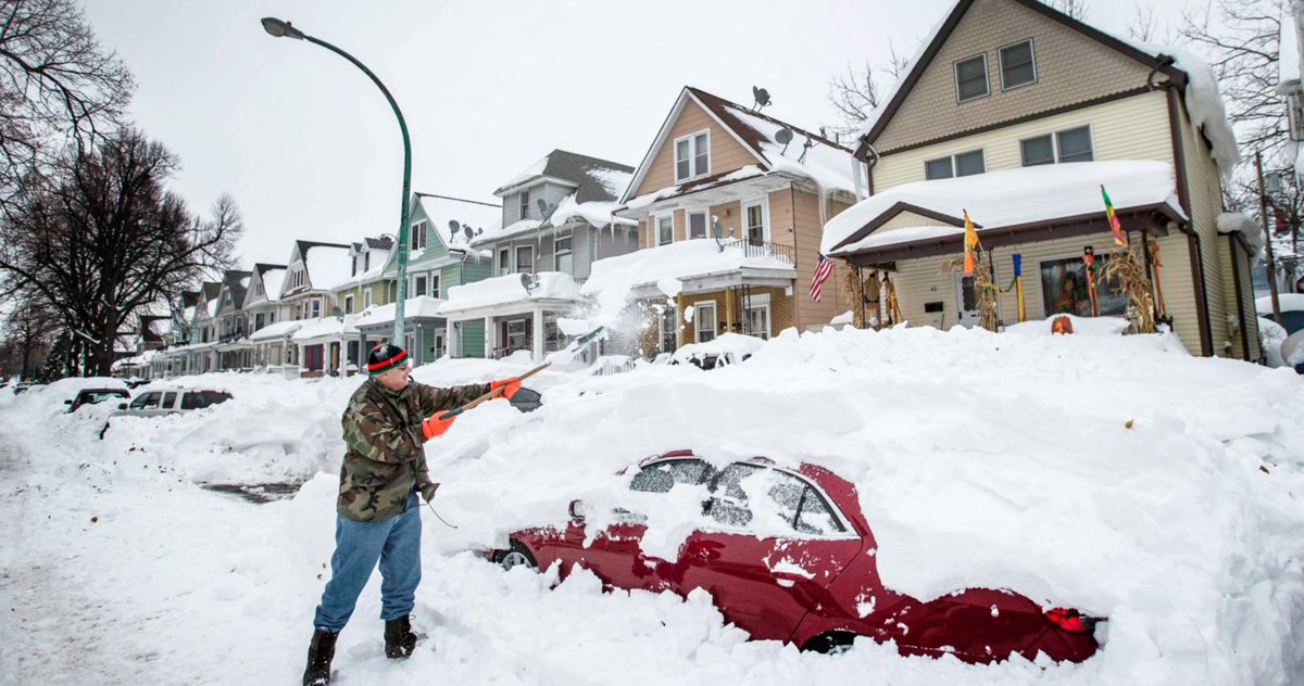 All Pro Lines tweet media