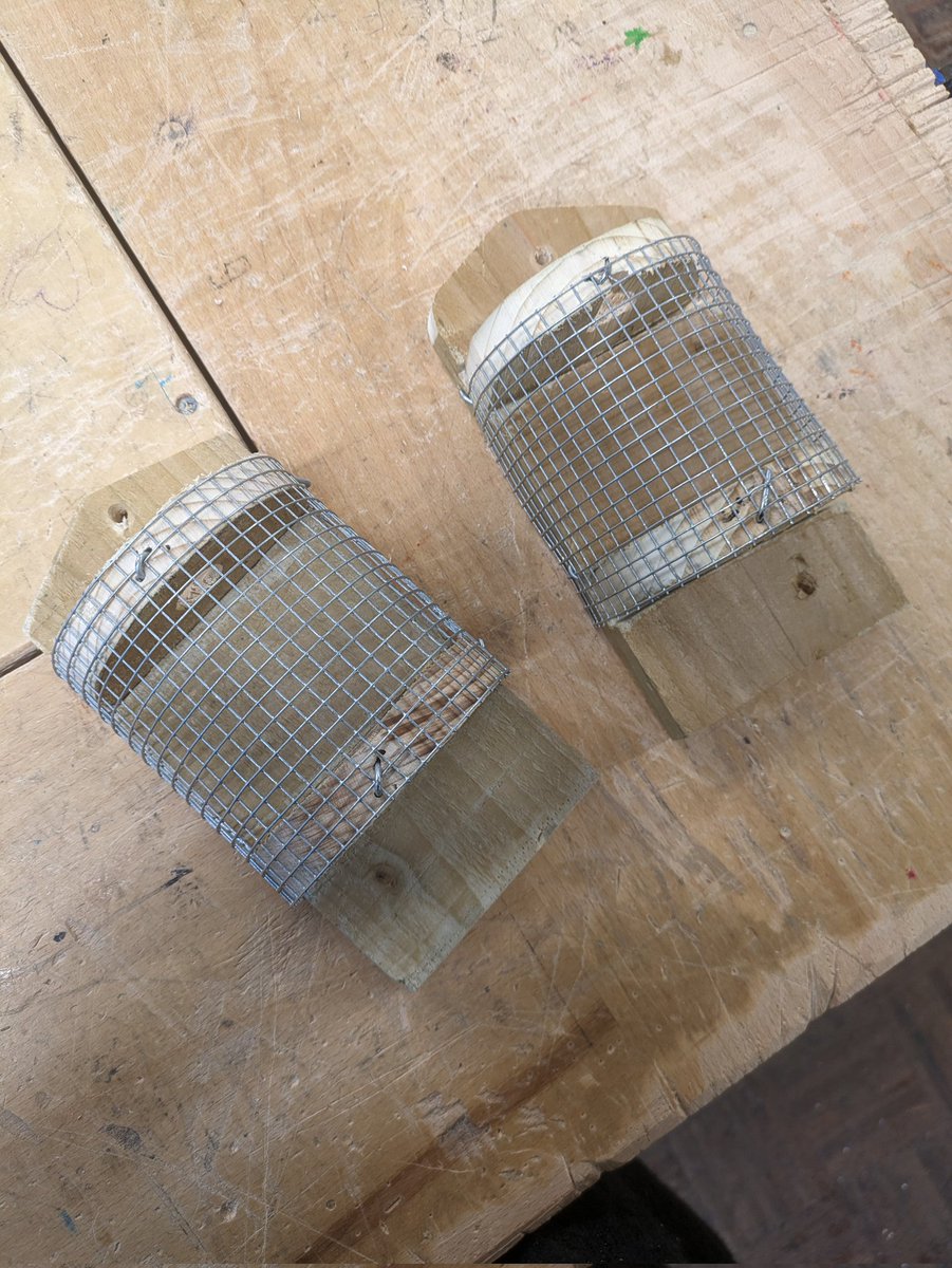 St.MauricesTechnical tweet media