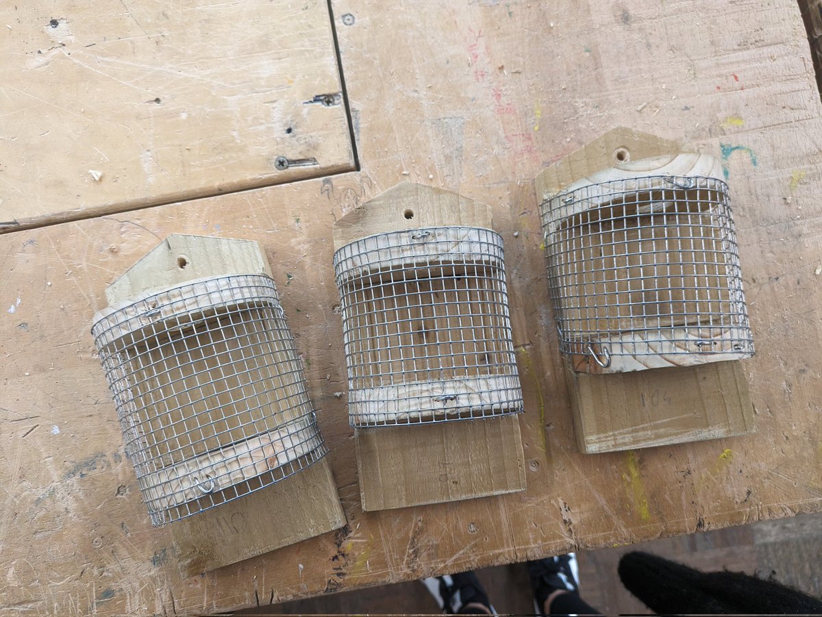 St.MauricesTechnical tweet media