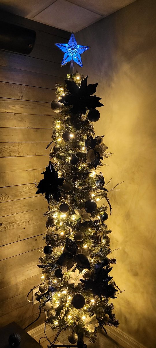 brastr23's tweet photo. @lorilydialove We have ours on outside and my little tree downstairs on https://t.co/NTPoGm7K5s