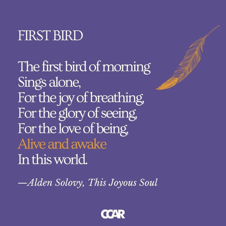 To Bend Light tweet media