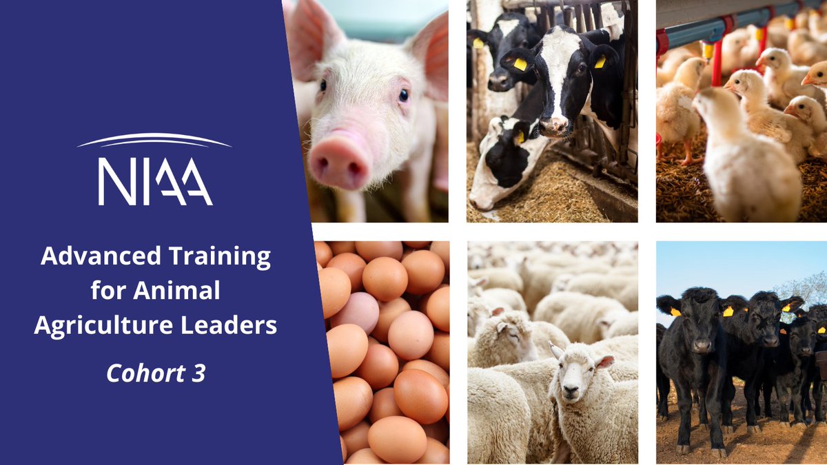 NIAA_Comm's tweet photo. Congratulations and welcome to Cohort 3 of the Advanced Training for Animal Agriculture Leaders! Learn more about the participants and program here. >> https://t.co/aZ6fd2yTDX https://t.co/t67Yq0MaMk