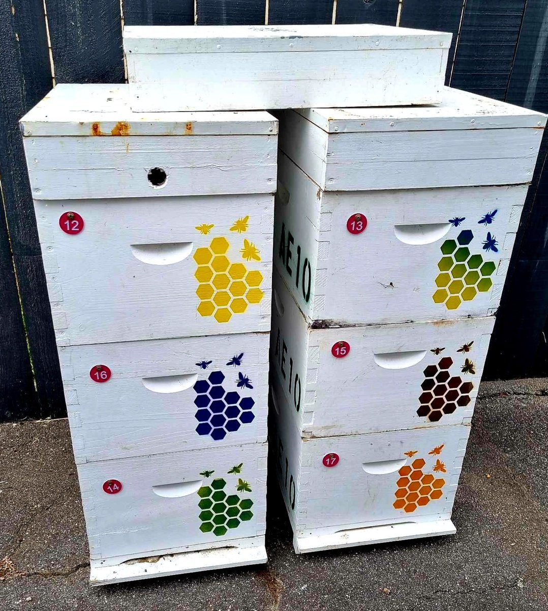 TravillaBeeFarm (@travillabeefarm) on Twitter photo Our #broodbox is ready. Six new #beehives on the way!
#Follow us in our #journey from one #hive to many! ๐ญ๐ฒ๐ช๐ต๐ญ <a href="/TravillaBeeFarm/">TravillaBeeFarm</a> #tothebeemoon ๐๐ #beeboxes Our #broodbox is ready. Six new #beehives on the way!
#Follow us in our #journey from one #hive to many! ๐ญ๐ฒ๐ช๐ต๐ญ <a href="/TravillaBeeFarm/">TravillaBeeFarm</a> #tothebeemoon ๐๐ #beeboxes