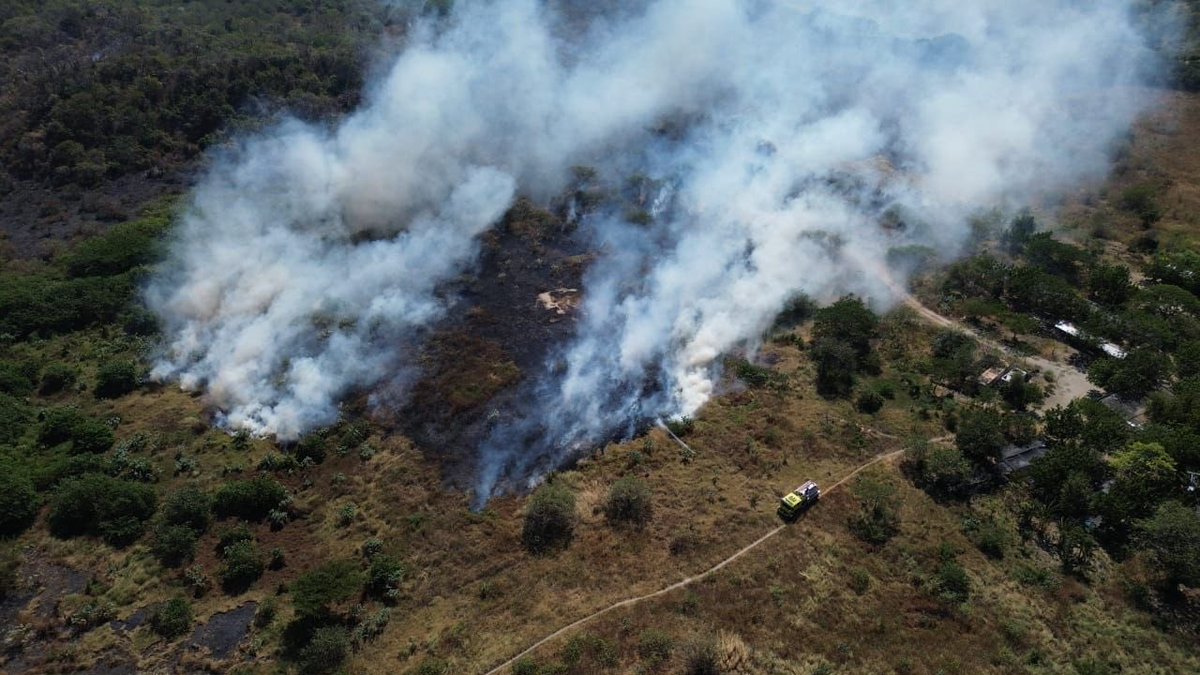 BomberosVolSM's tweet photo. 🚨Unidades del Cuerpo de Bomberos Voluntarios de Santa Marta, controlaron emergencia por incendio forestal en el sector Bureche, el cual, se propagó con gran rapidez debido a la fuertes brisas que se registran en la ciudad. 

¡Santa Marta, tus Bomberos te cuidan!🧑🏼‍🚒🚒 https://t.co/ZdAPjhN2rM