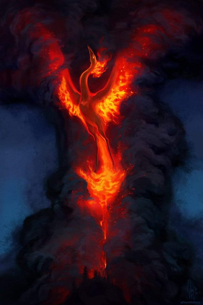 ✨Pumpkimm✨ tweet media