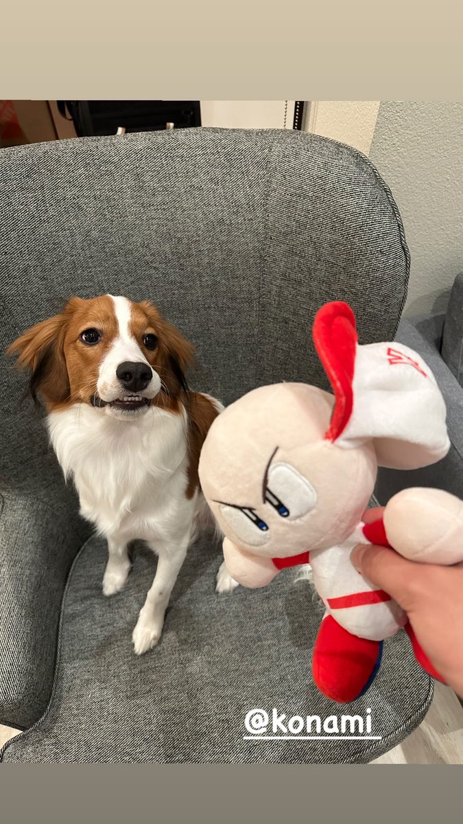 GD6kXfbacAAonEb.jpg?format=jpg