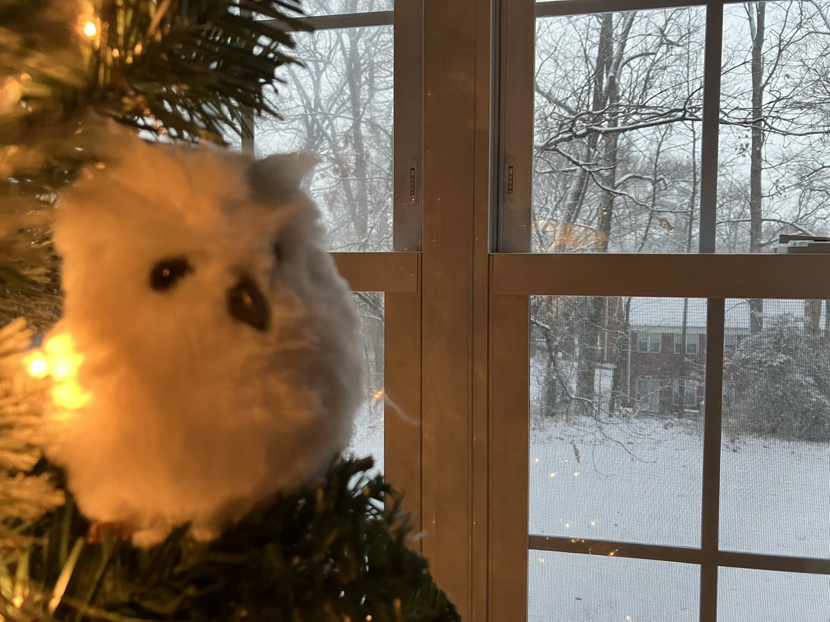 williamcwest's tweet photo. Imagine if I’d taken down my christmas tree the day before our first real snowfall in two years https://t.co/6xbudPwtVA