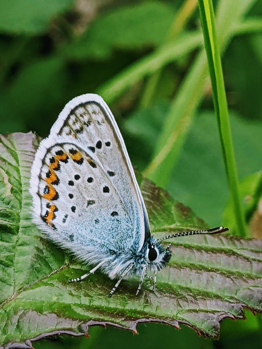 Jonni Price tweet media