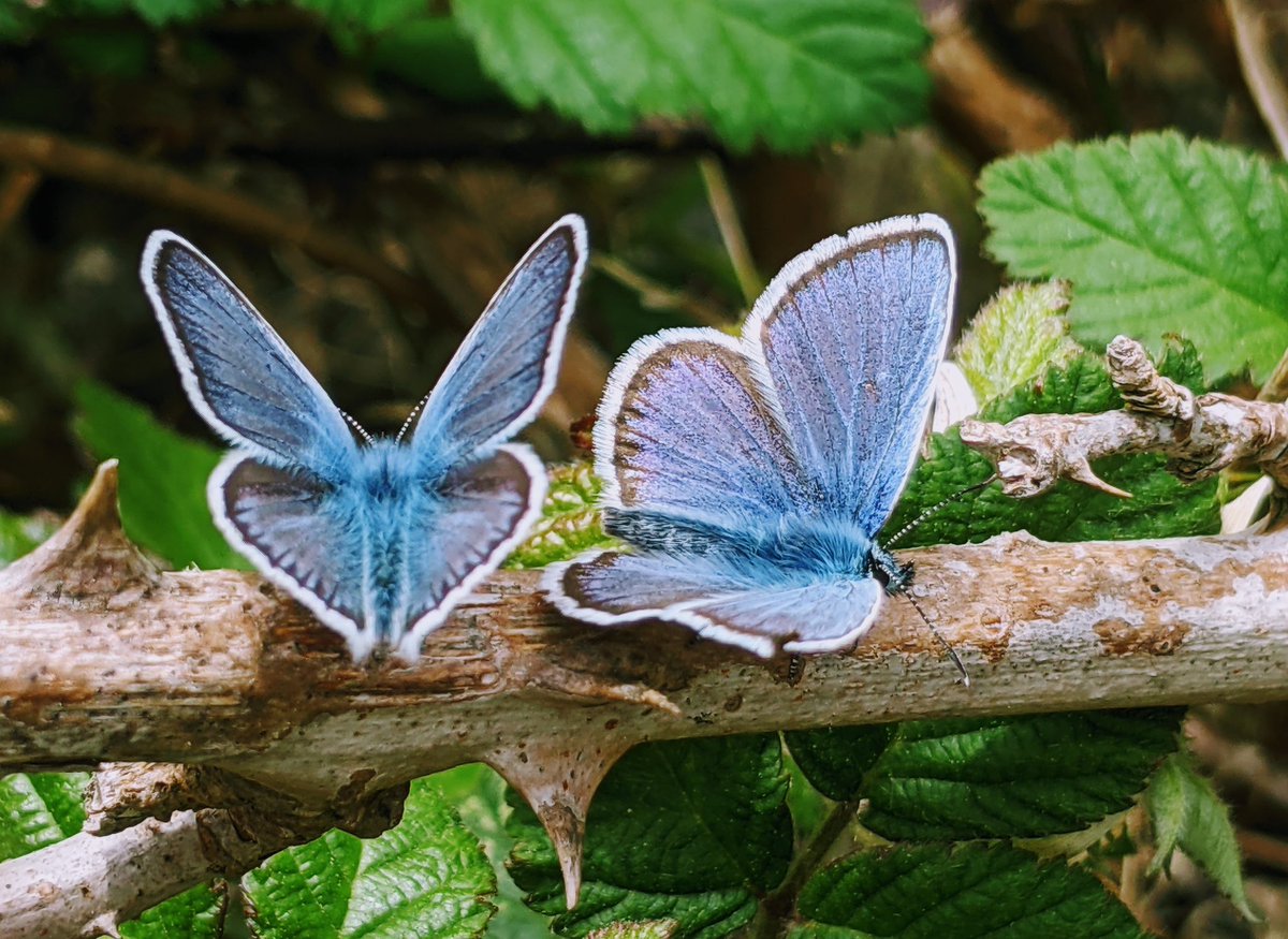 Jonni Price tweet media