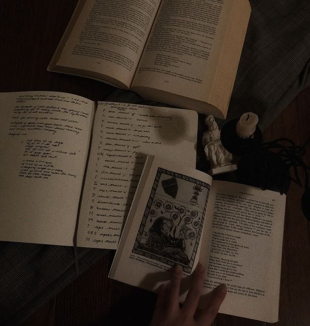 MeisterGabby's tweet photo. Após votação democrática, informo que pela primeira vez trago as minhas✨leituras do ano✨

2024's version https://t.co/VpaePBUHhH