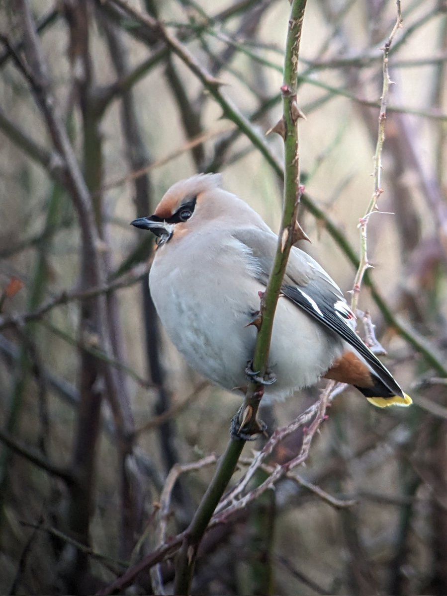 Jonni Price tweet media