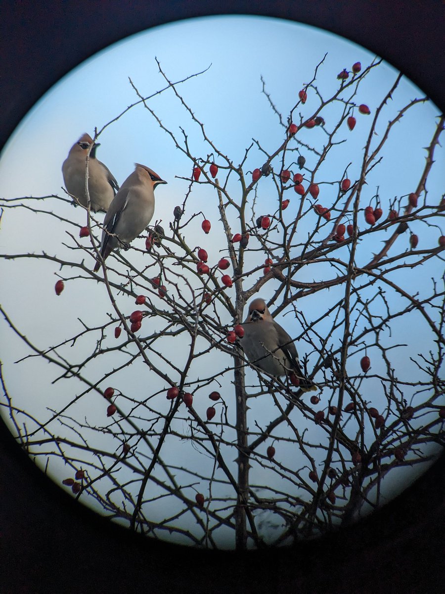 Jonni Price tweet media