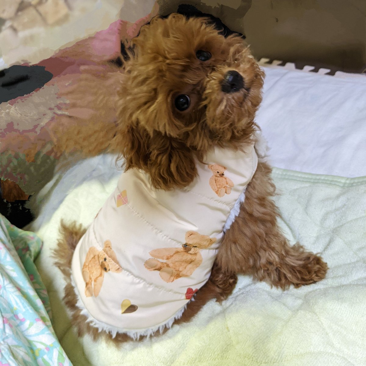 nokotang's tweet photo. #新しいプロフィール画像 https://t.co/b4HmDiYGgP