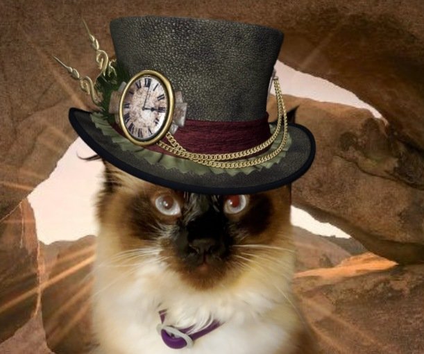 #PostAFavPic4VioletJan24 
Day 15: Hat Day
Sebastián looks stylish in his tea party top hat! This picture was taken at this past year's Hat party thrown by @MrWuggums at #BurningMouse.
#chilltent #Xanawu #CactusGulch🌵 🐾💙🐈