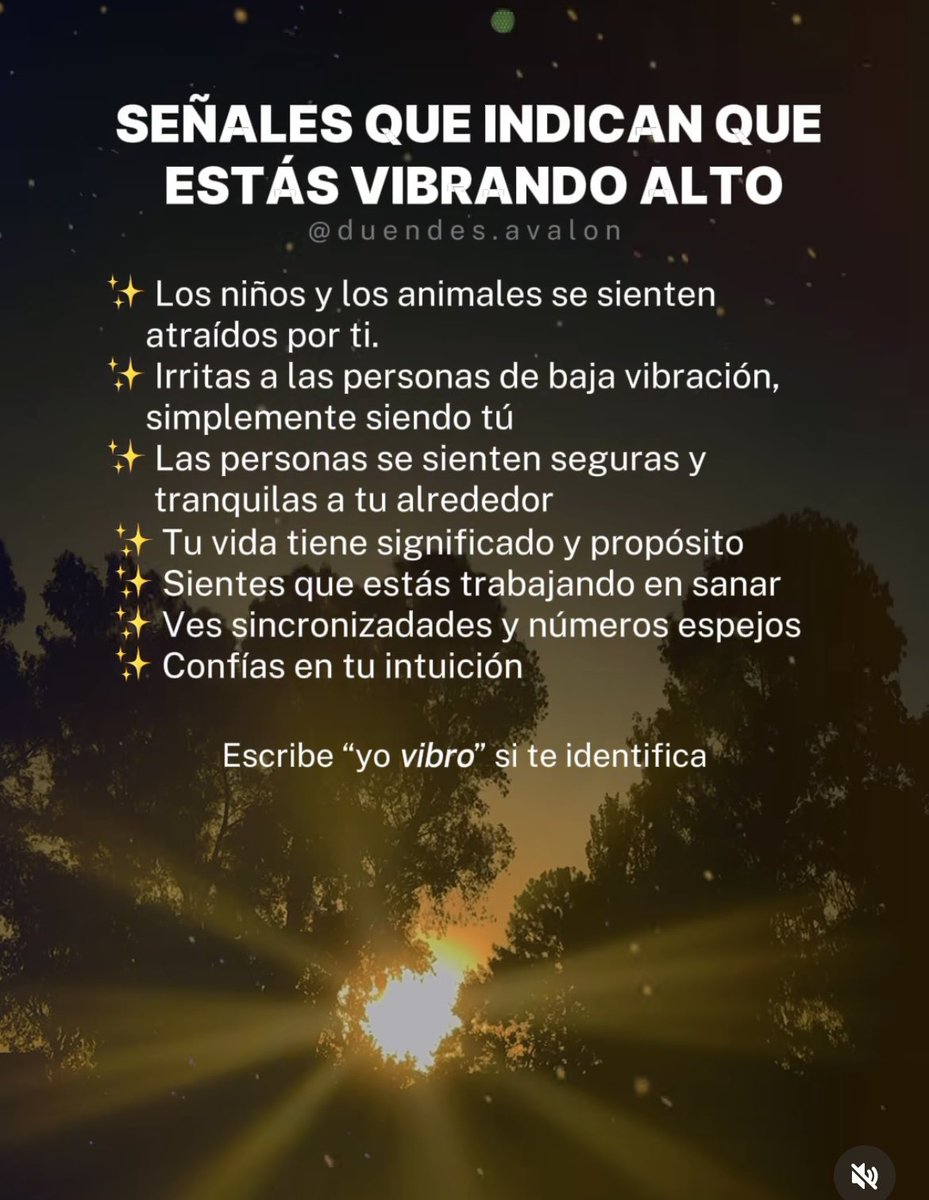 VERDAD tweet media