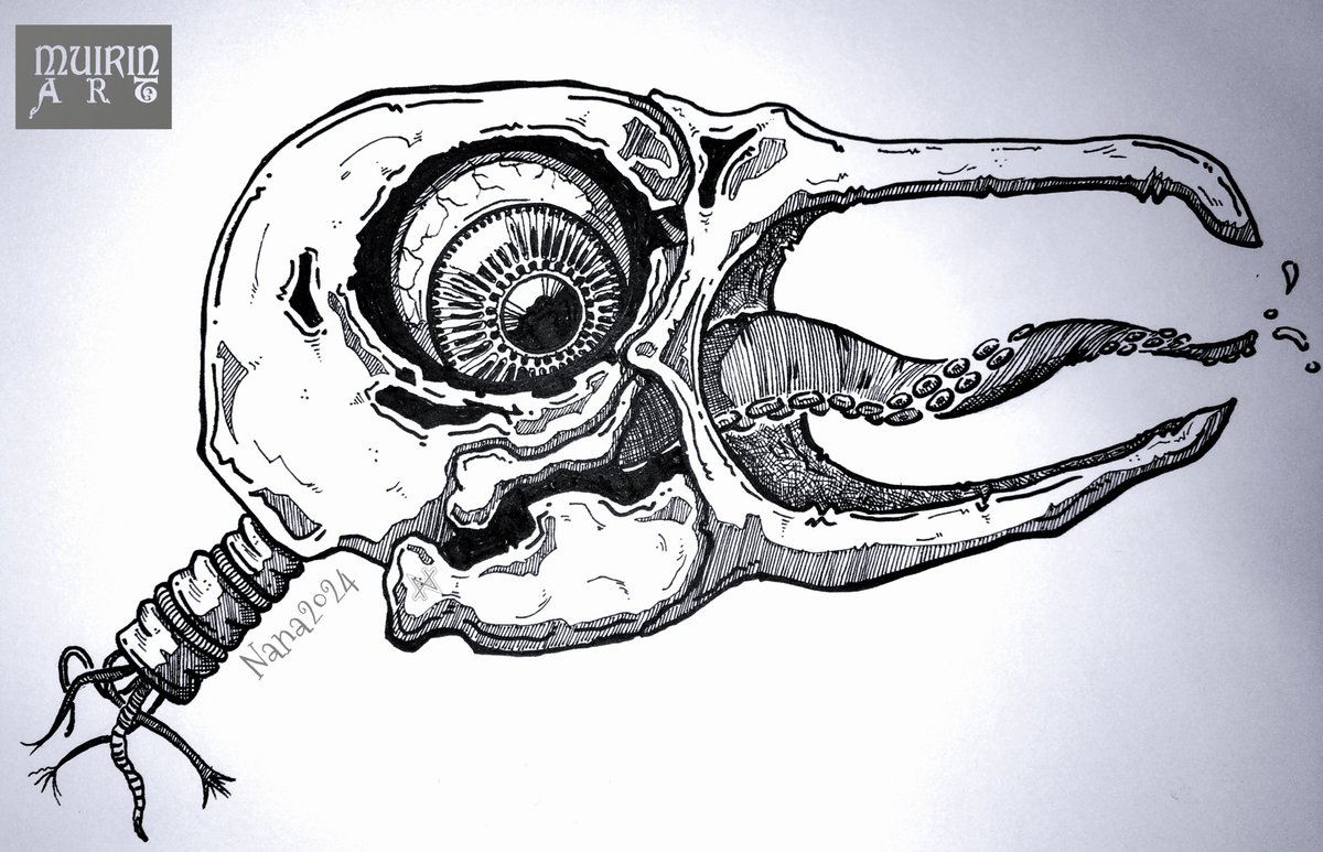 Weirdo birdie skull. 
Tooli-Art inkpens  on sketchbook. 
#bird #birdskull #tentacle #tooliart #draw #drawing #doodle  #muirin_art #art  #arte #artlovers #blackandwhite #illustrations #illustration #imanartist  #ink #inked  #artwork  #muirinart #finland #suomi #suomitaide #taide