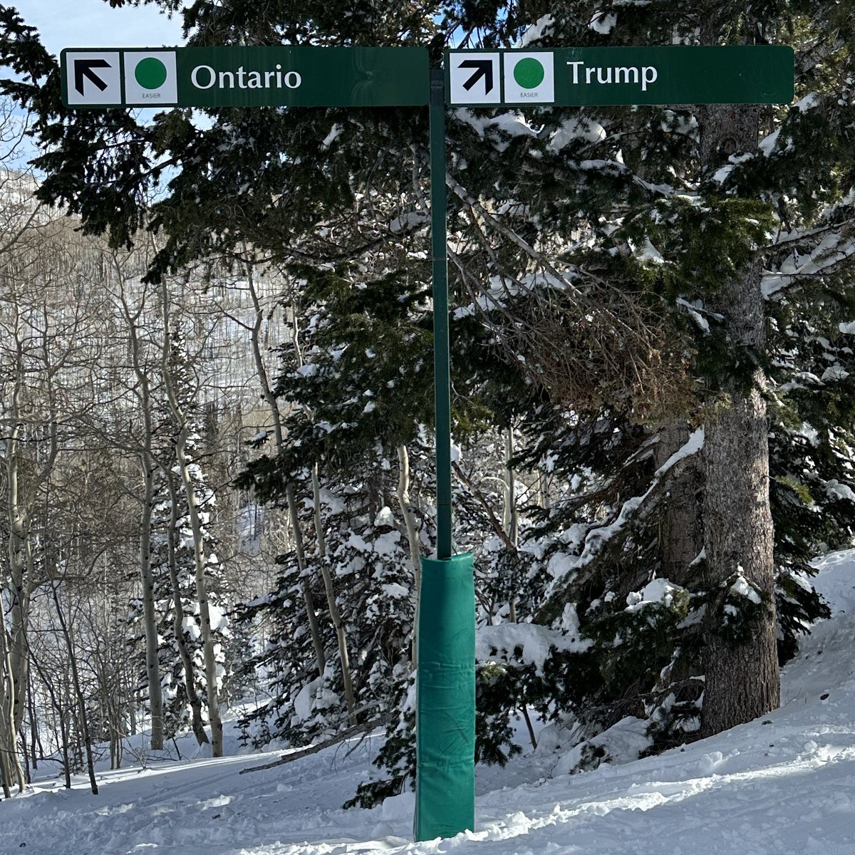 Stay Right
#DeerValley #Trump2024