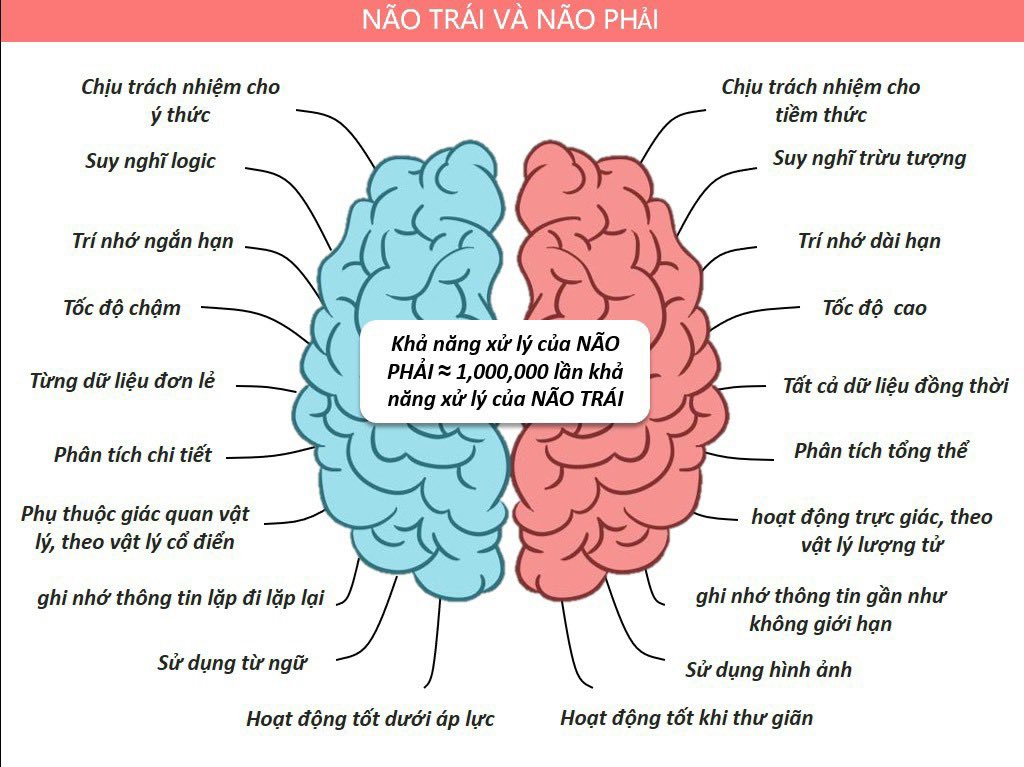 Thu Nguyễn tweet media