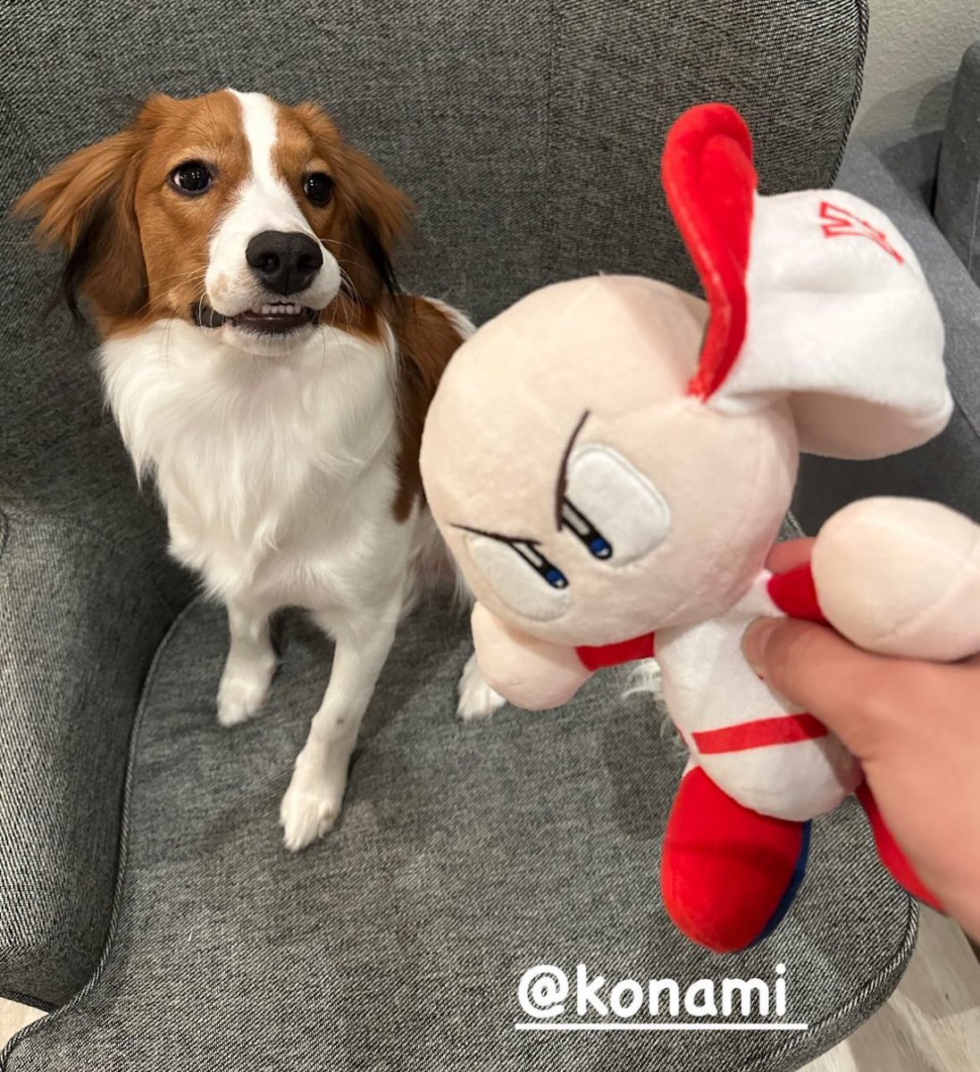 悲報】デコピン、パワプロくんを破壊してしまうw (via:shoheiohtani / IG)