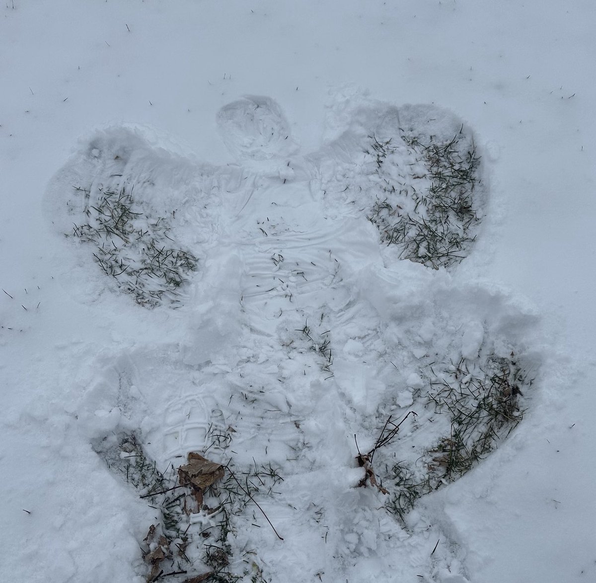 Patricia Cornwell tweet media