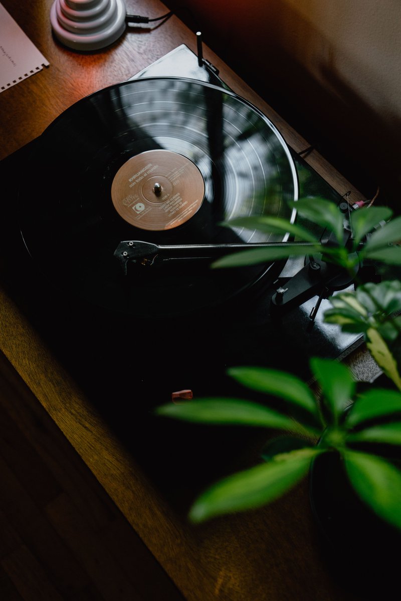 timike547's tweet photo. Lost in the vinyl groove, feeling the warmth of analog melodies. The record player is not just a device; it's a portal to timeless tunes. 🔄🎧 #AnalogDreams #VinylEscape https://t.co/vM2yW3mkGG