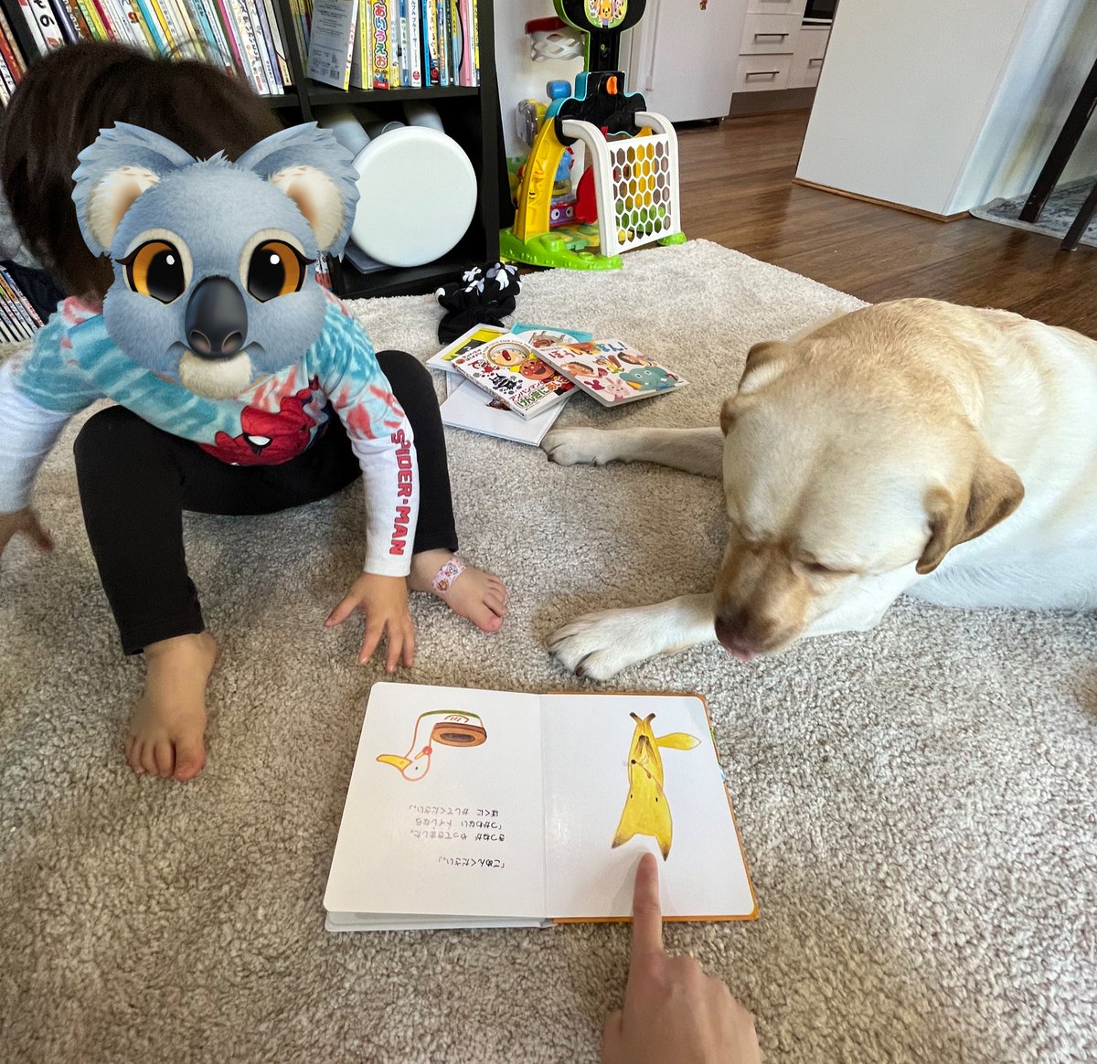 弟に絵本を読んでるといつもたこちゃんが一緒に座って聞きにくるんだけど、トイレトレーニングの絵本だけは食いつきが違って真剣に聞いてる。
たこちゃん、トイレを使う気なのかもしれない。