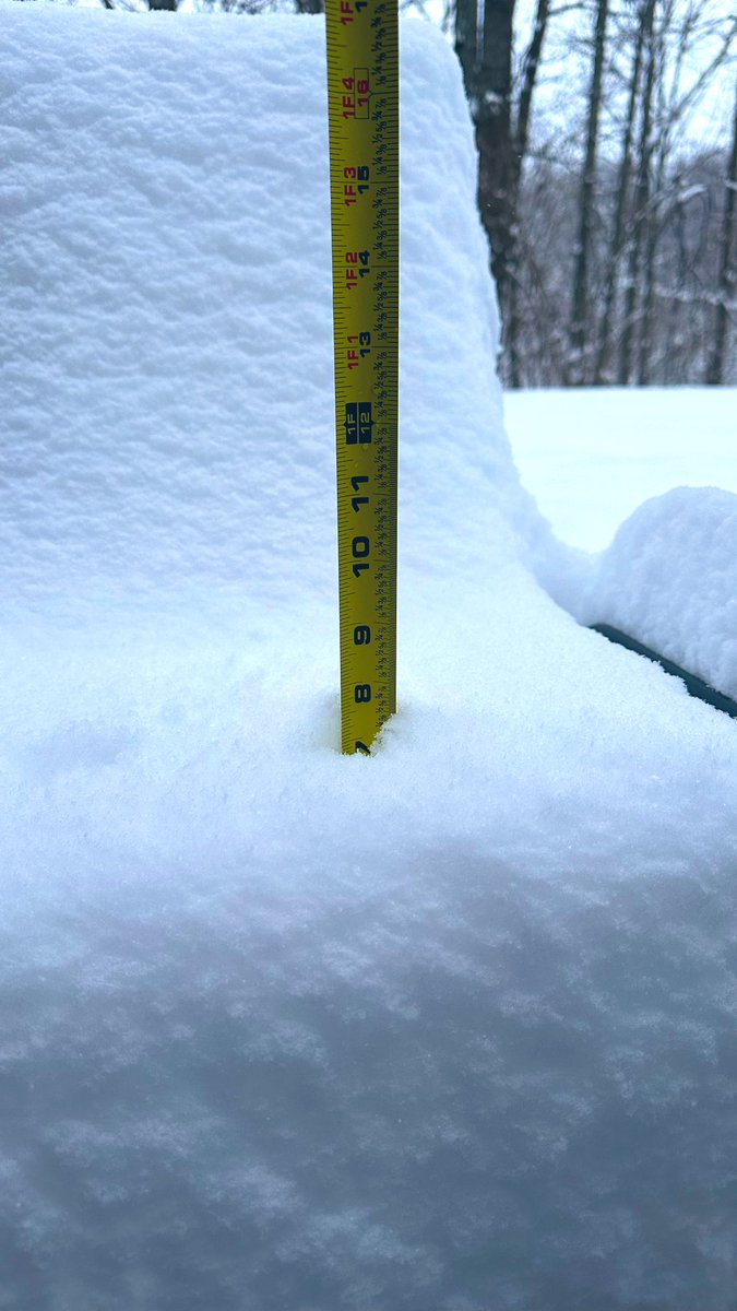Nicholeyduhh's tweet photo. @NashSevereWx 8 inches in Bellevue https://t.co/TJN7QWHmx7
