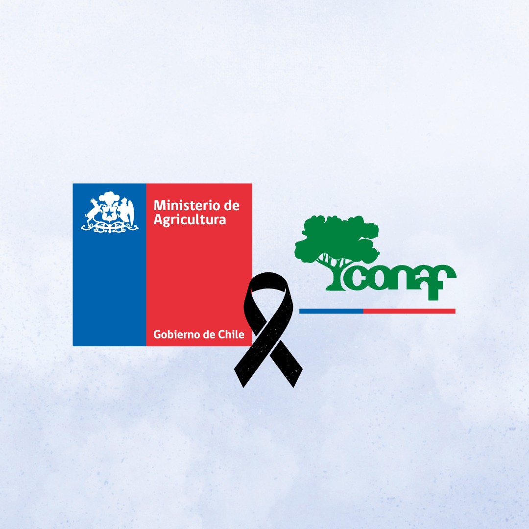 ⭕️ CONAF lamenta informar que hoy se produjo accidente aéreo en Talca  durante labores de control de incendios. A consecuencia de ello se confirmó  fallecimiento de Fernando Solans, piloto del avión que