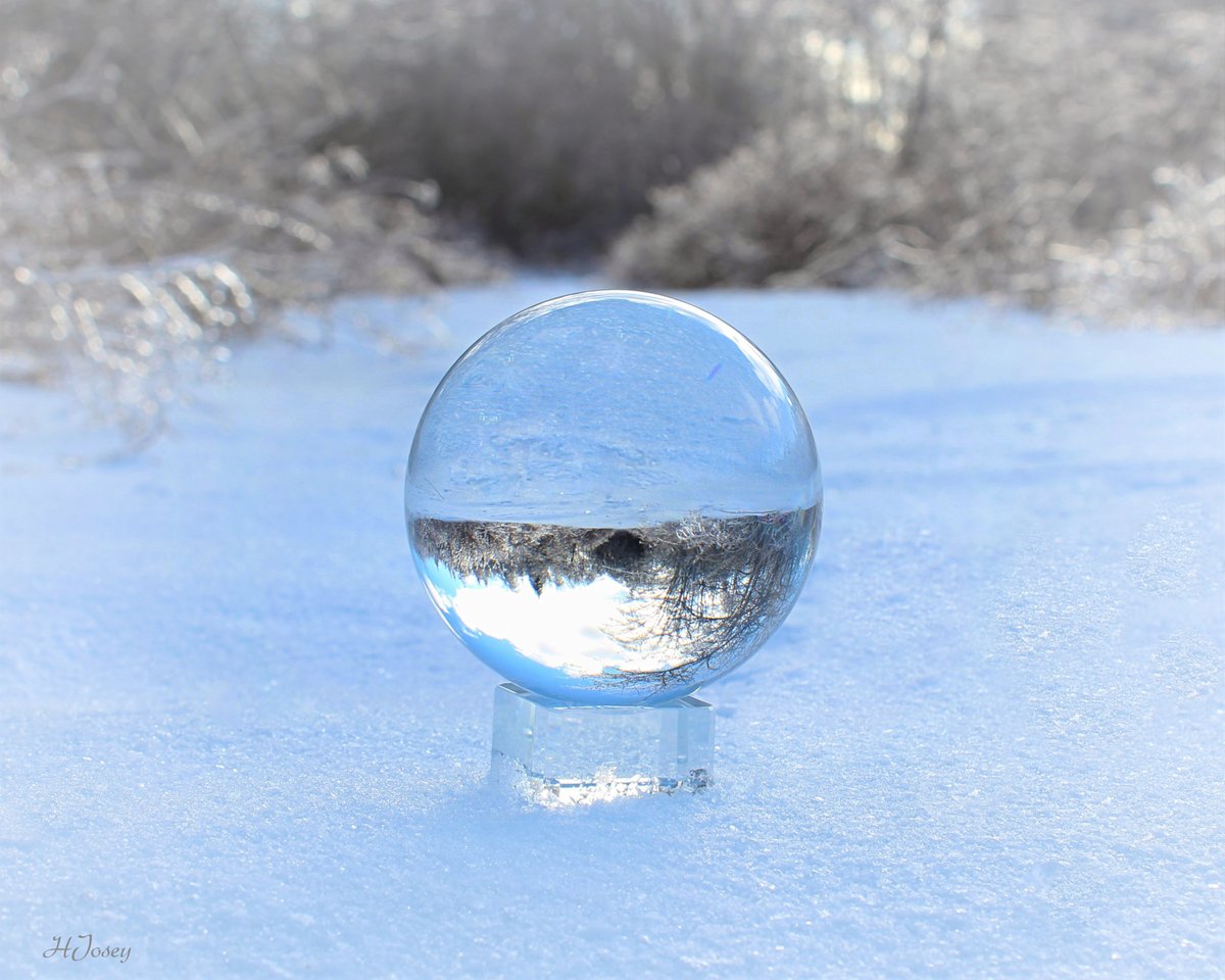 HCJosey's tweet photo. QP a picture that looks cold🥶 https://t.co/JXUN0IPqoZ