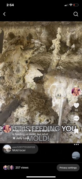 Over on Tiktok, a video is going around showing MOLD from @KraftBrand macaroni and cheese factories&hellip;<a href="/tag/vista"class="tags"><span>#vista</span></a><a href="/tag/canna"class="tags"><span>#canna</span></a><a href="/tag/cannibus"class="tags"><span>#cannibus</span></a><a href="/tag/cannibusculture"class="tags"><span>#cannibusculture</span></a>