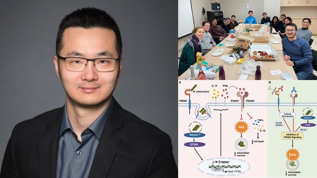 UBCMicroImmuno's tweet image. Welcome Dr. Jim Sun - our newest faculty member in the Department of Microbiology and Immunology! 

With a research focus on tuberculosis pathogenesis, Dr. Sun shares that he and his team are thrilled to begin the next chapter of the Sun Lab at UBC.

Q&amp;amp;A: mbim.ubc.ca/news/welcome-p…