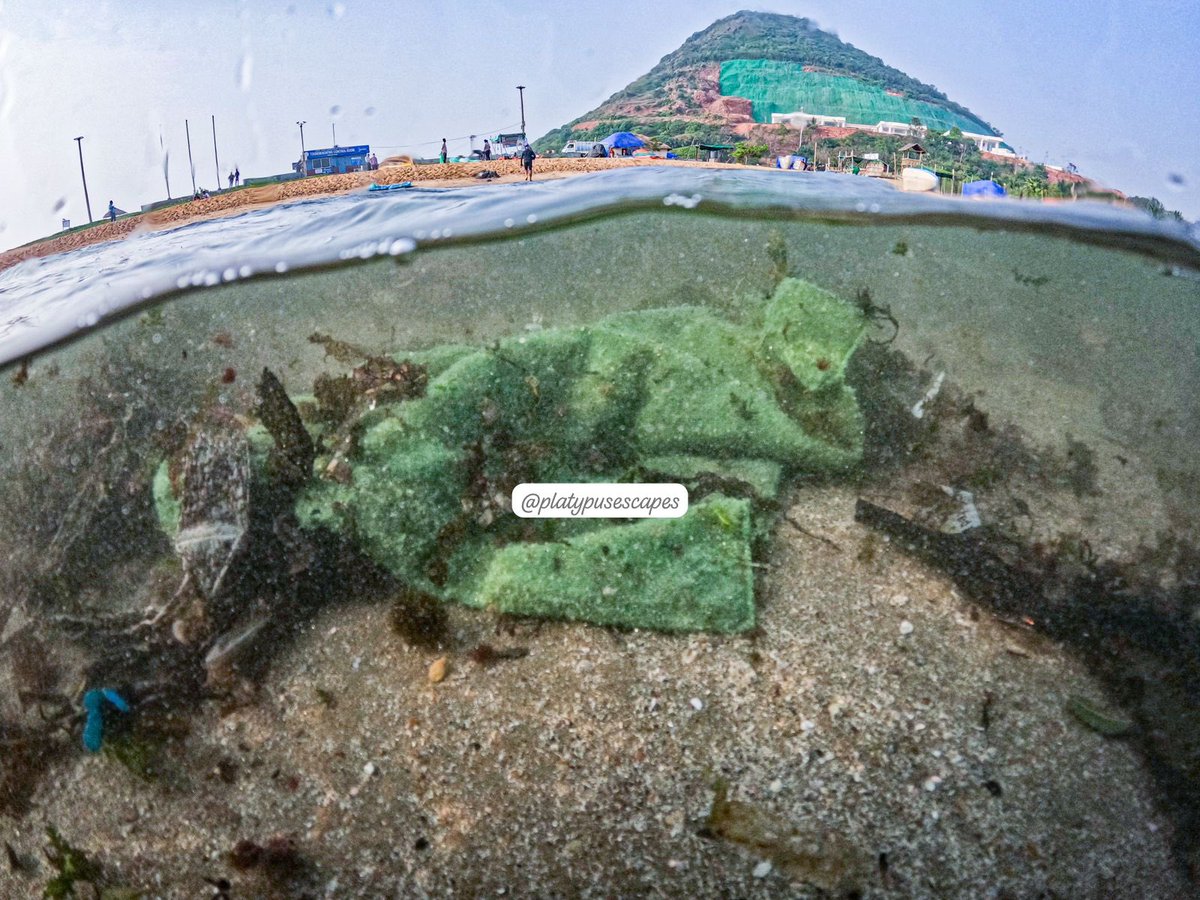 Platypusescapes's tweet photo. A sad reality from #rushikondabeach inside and outside view.@PMOIndia @narendramodi @AndhraPradeshCM @SwachhBharatGov @UNDP_India @destined_vizag2 @AskAnshul @JayarajGedela @PakkaVizag @vizaginsight @YoVizag @vizagforever @MRAVEENDRA9 @APWeatherman96 @Justice_4Vizag @BBCIndia https://t.co/7GmORoLhOL