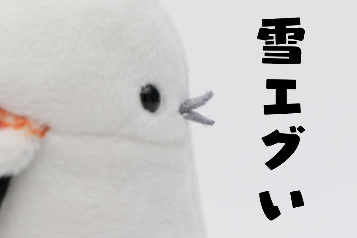 daily_simaenaga's tweet photo. 札幌は https://t.co/IHrGrcnHzD