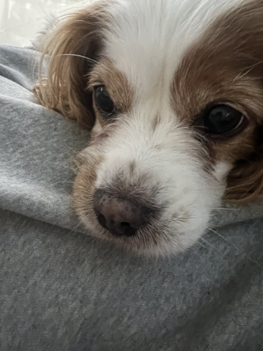 itsberryc's tweet photo. berry misses dad :( https://t.co/UKFWNb9DI6